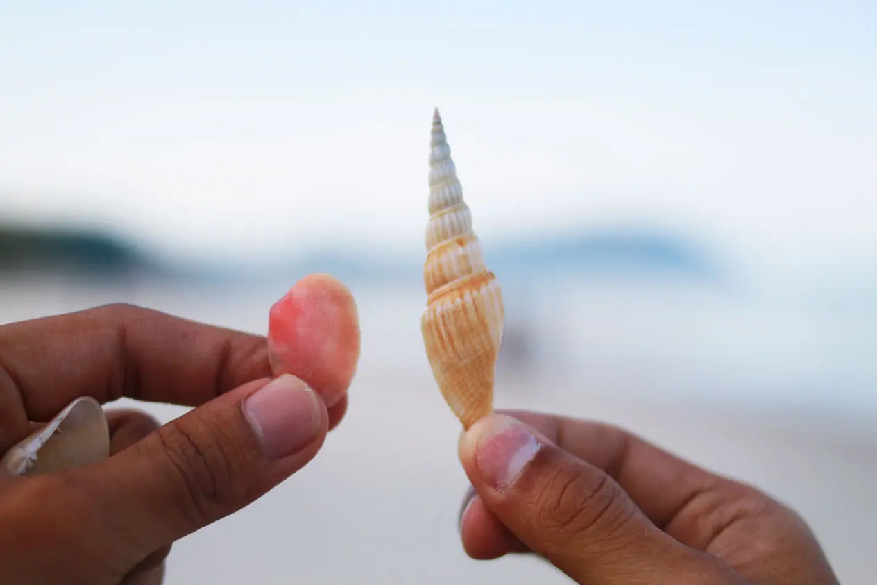 deux personnes échangeant des coquillages