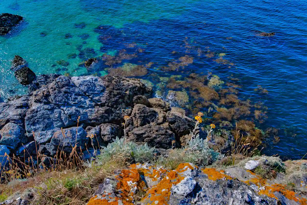 paysage bord de mer en bretagne